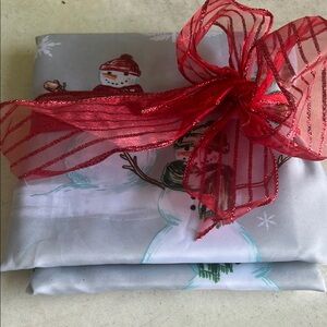 Festive Snowman Shower with Red Ribbon